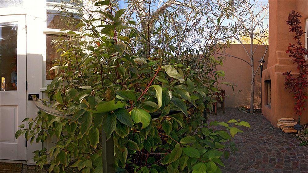 Las Palomas Santa Fe Eksteriør billede